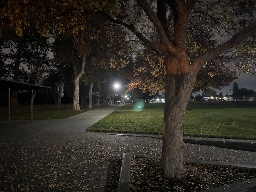 walking near me in Bowers Park in winter