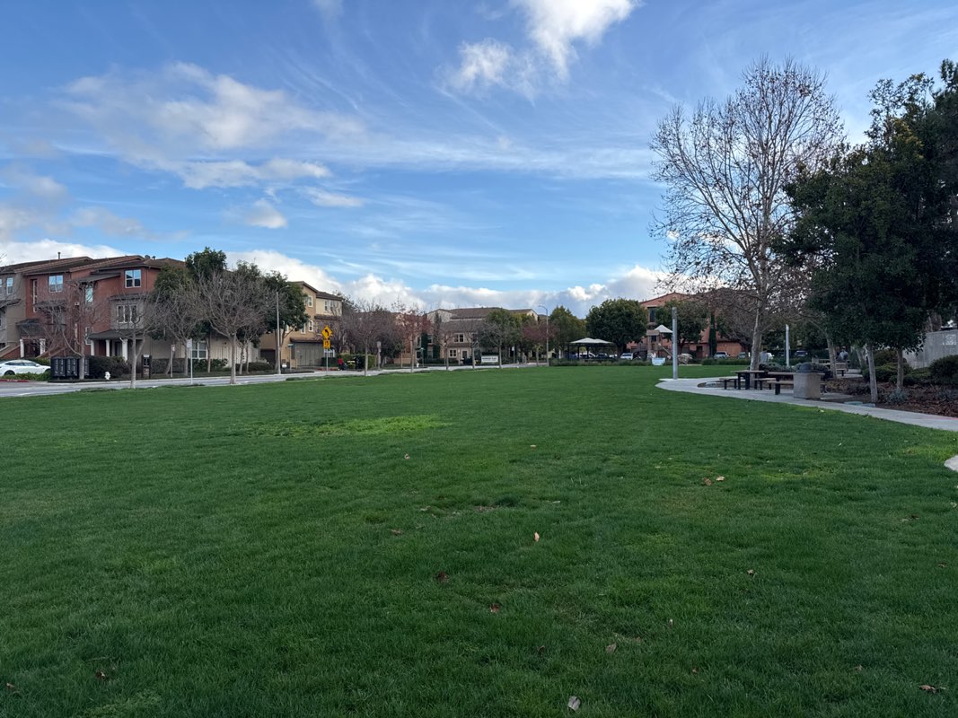 walking near me in Swegles Park in winter