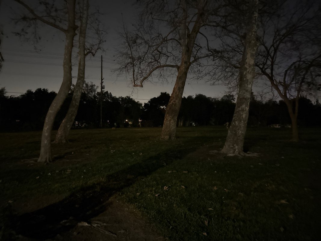 walking near me in Bowers Park in winter