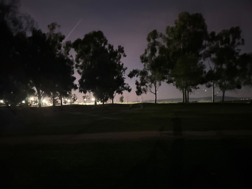 walking near me in Sunnyvale Baylands Park in spring