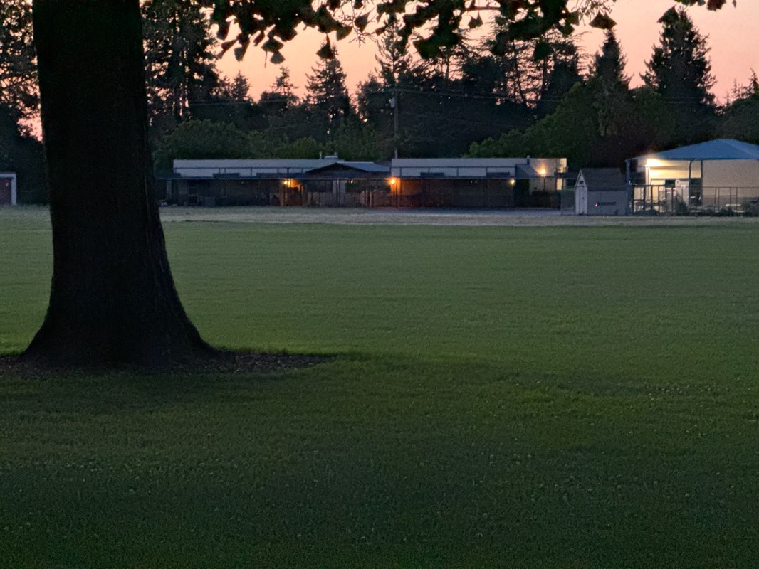 walking near me in Cooper Park in summer