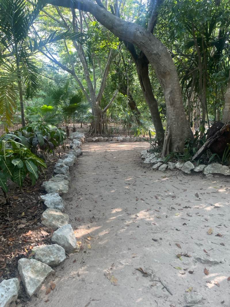walking near me in Parque Urbano Kabah in autumn