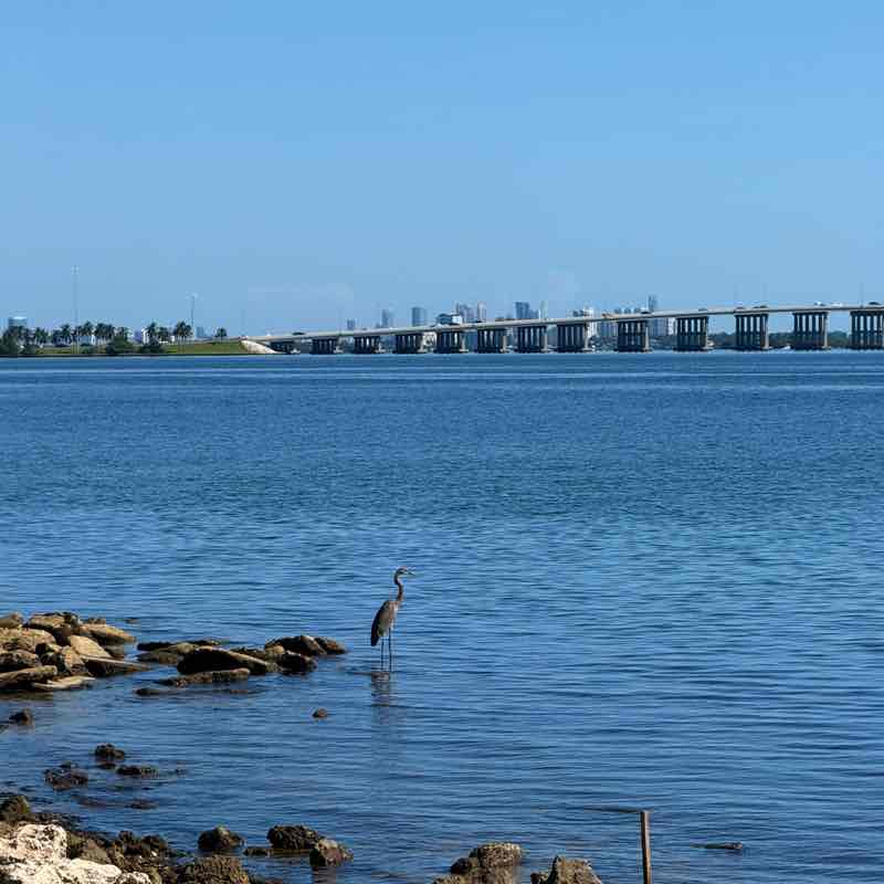 sthefani rodriguez post 1