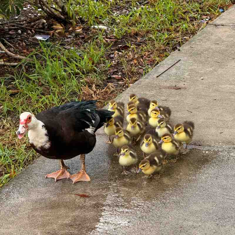 sthefani rodriguez post 2