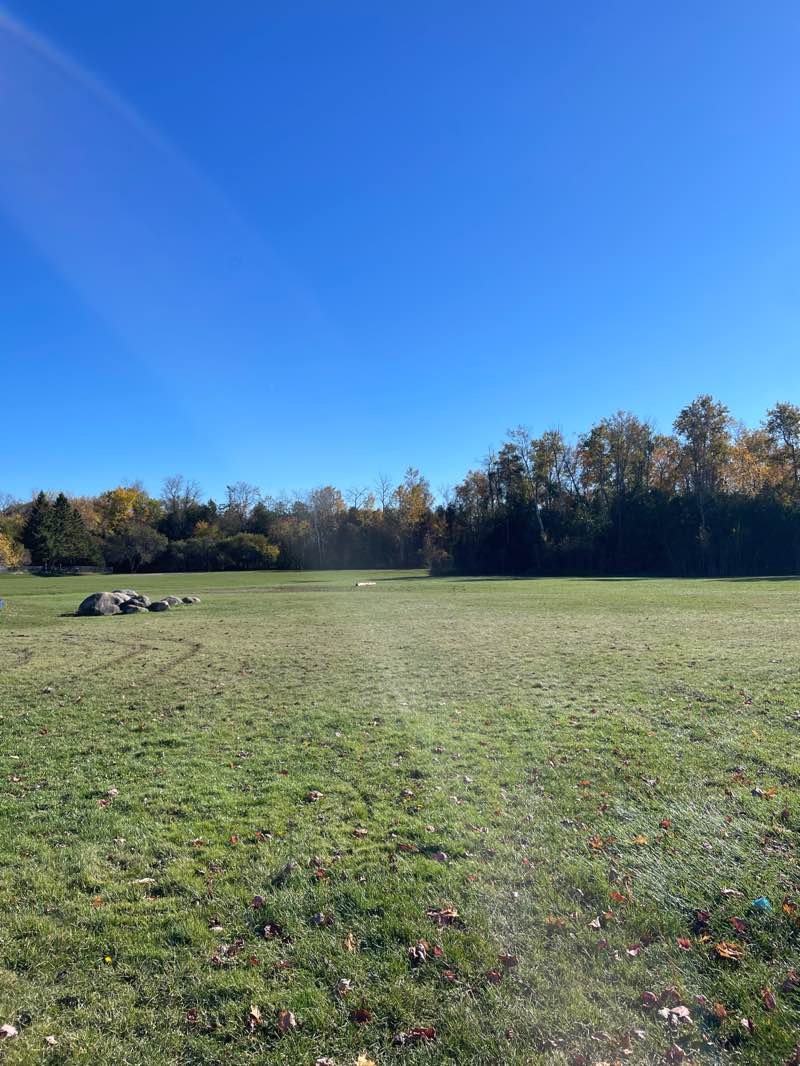 walking near me in Anna Maria Park in autumn