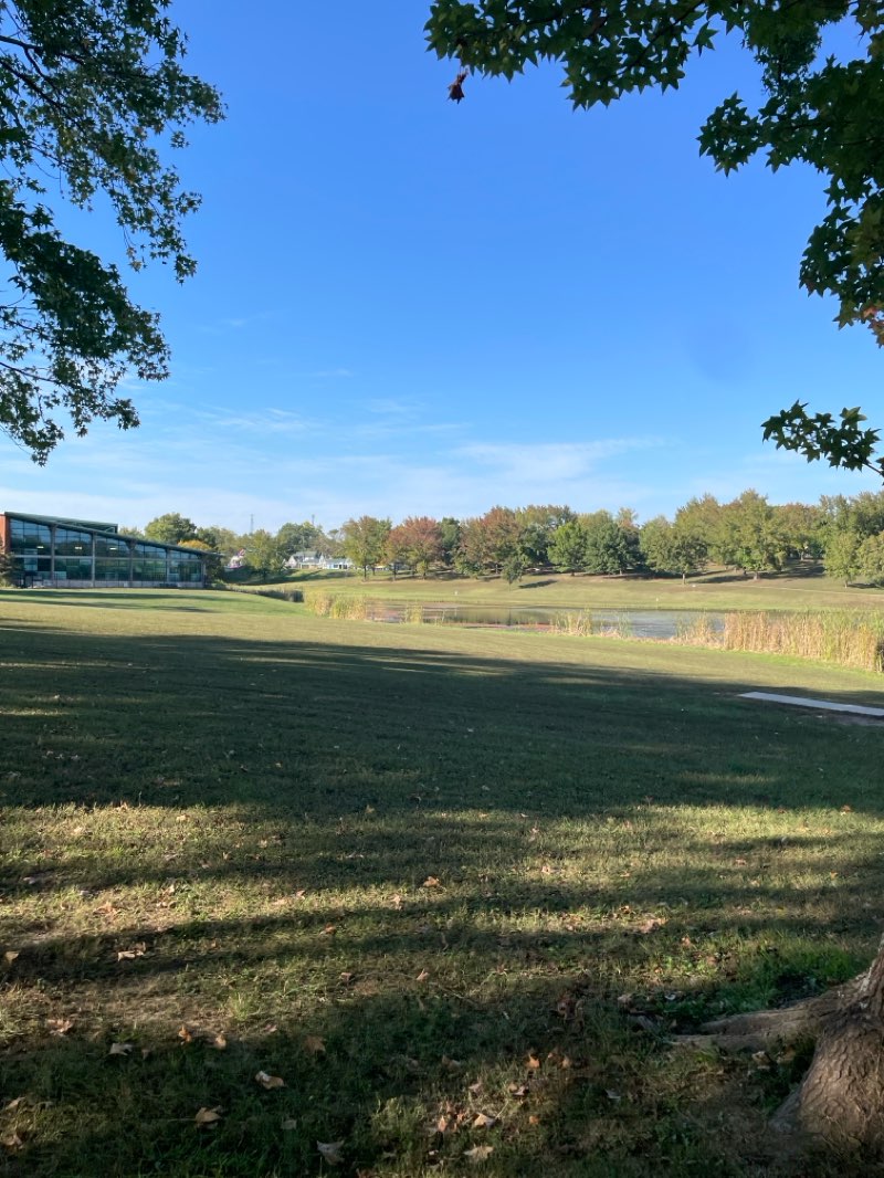 walking near me in Ber Juan Park in autumn