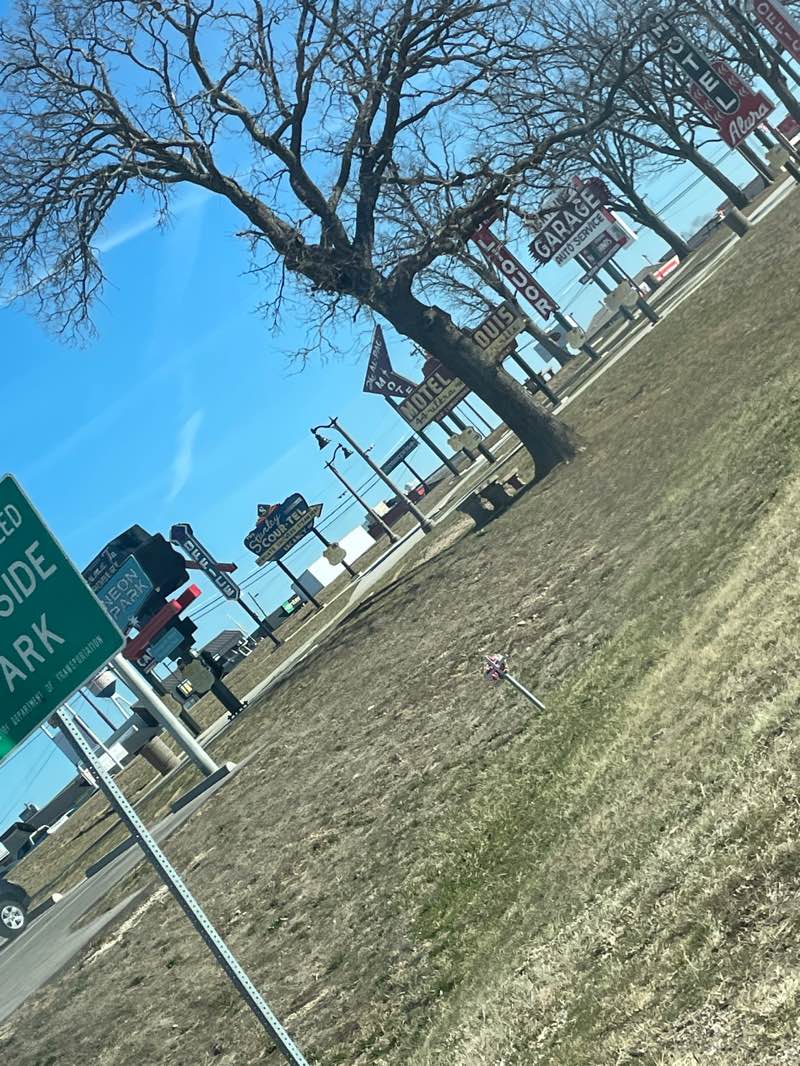 walking near me in George M. Reed Roadside Park in winter