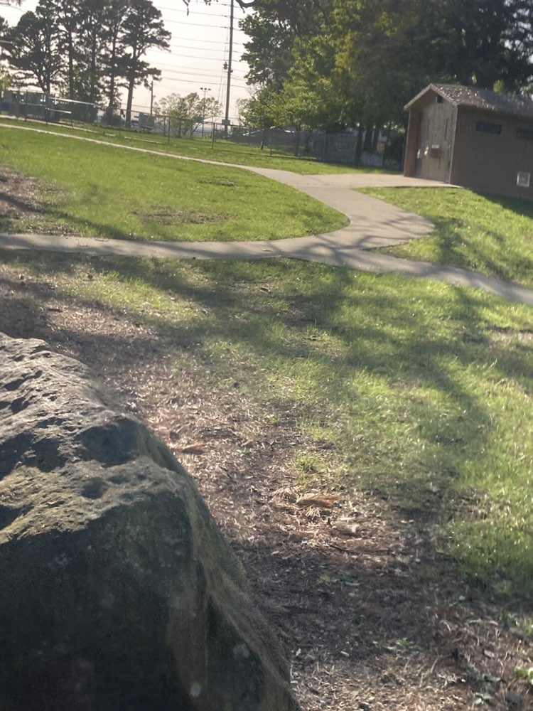 walking near me in Buehler Park in spring