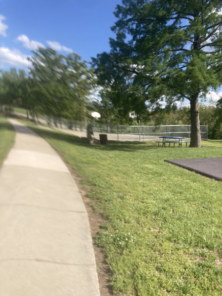 walking near me in Ridgeview Park in spring