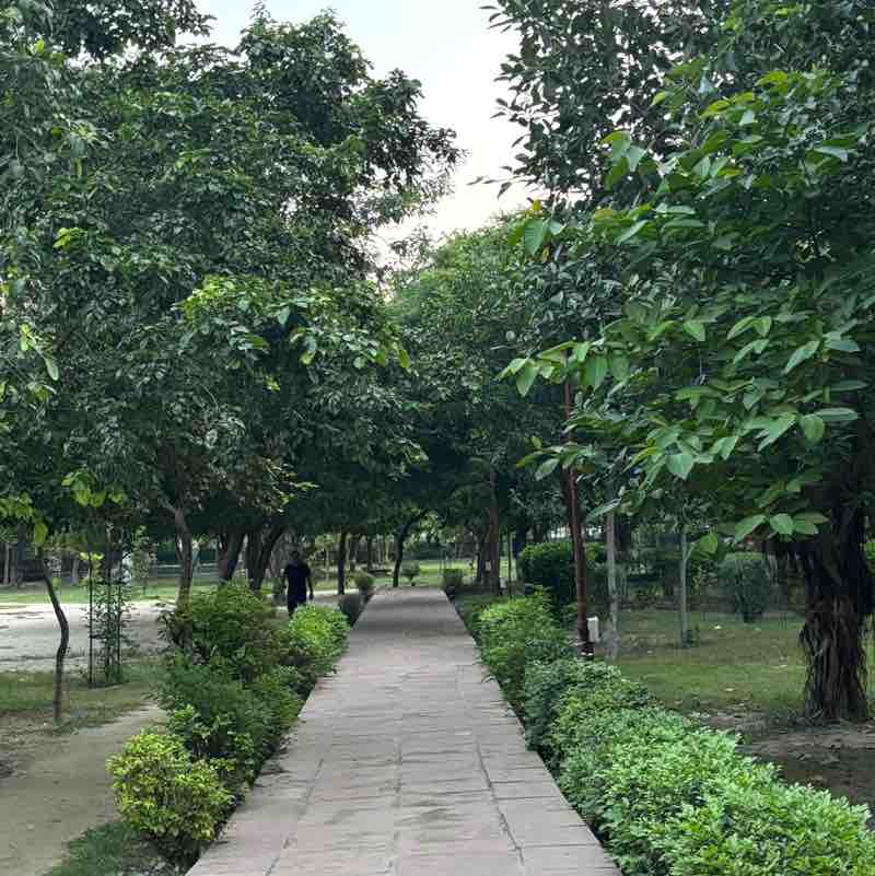 sandhya.bharti post 1