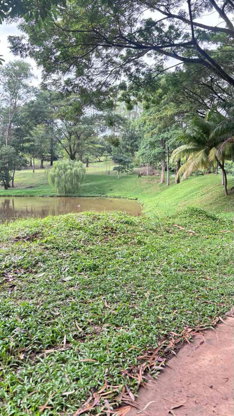 walking near me in Desajaya Public Park in autumn