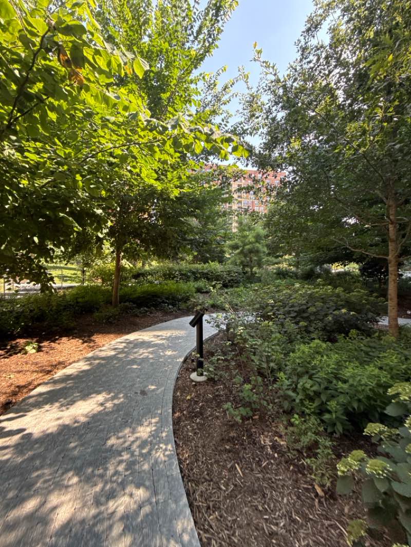 walking near me in Metropolitan Park in summer