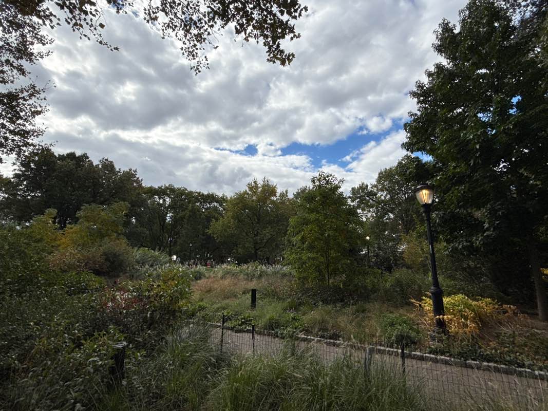walking near me in Battery Park in autumn