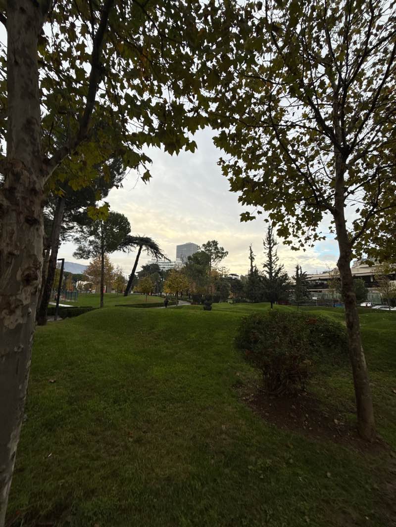 walking near me in Rinia Park in autumn