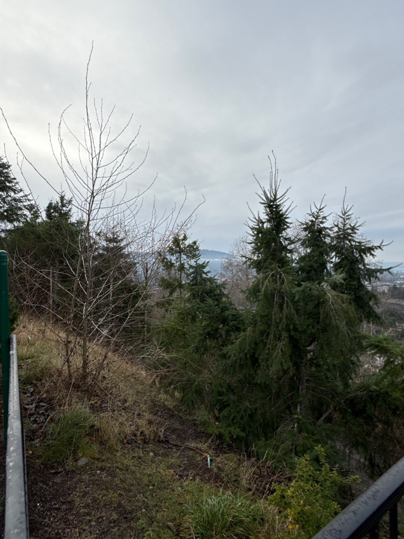 walking near me in High Street Linear Park in winter