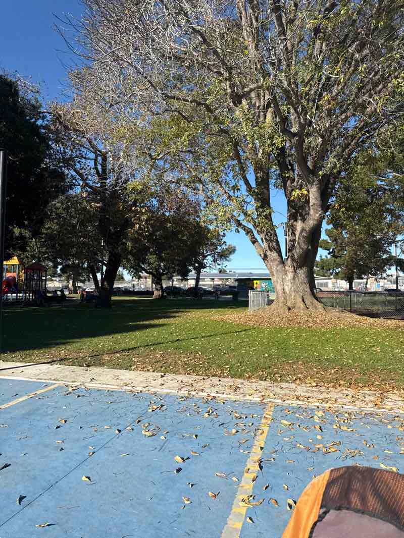 walking near me in Ramona Park in winter