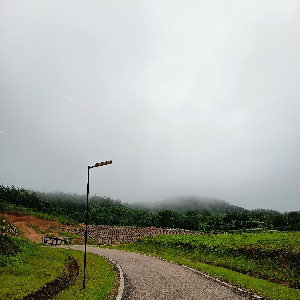 cikcibo profile