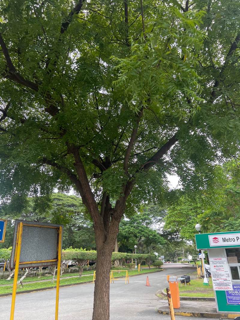 walking near me in Madrigal Business Park in autumn