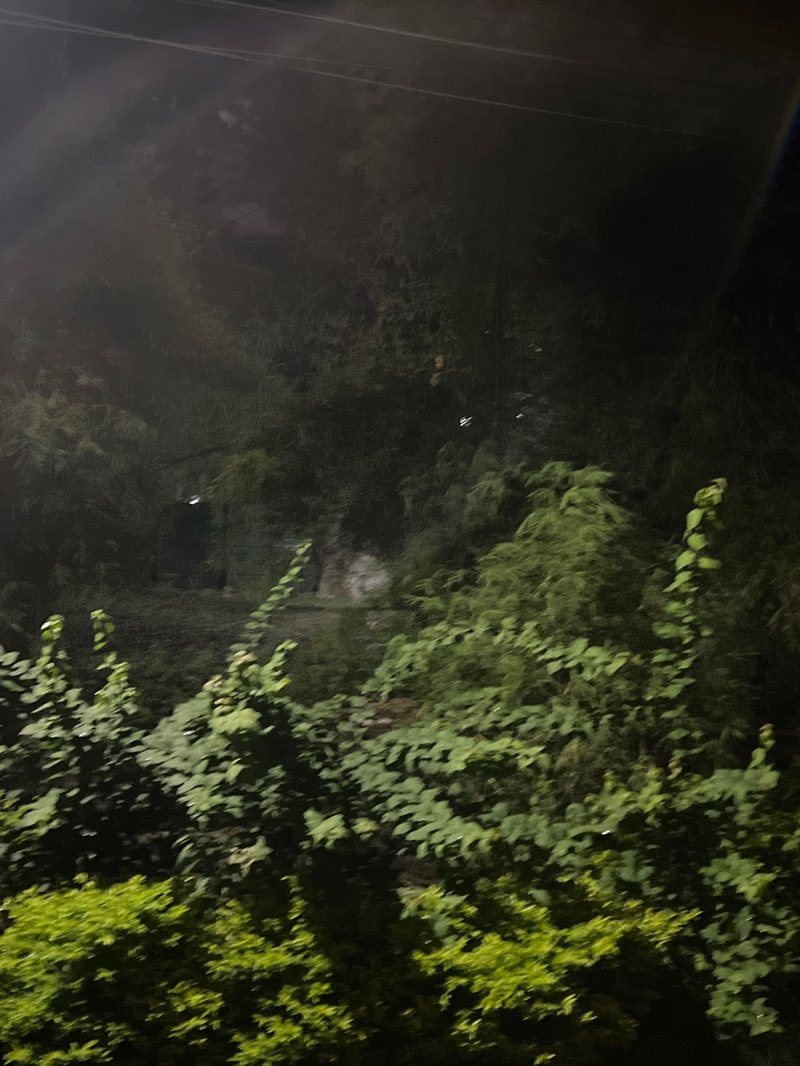 walking near me in Alabang 400 Park in winter