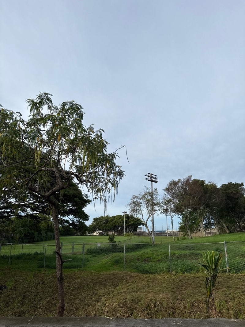 walking near me in Kalihi Valley District Park in winter