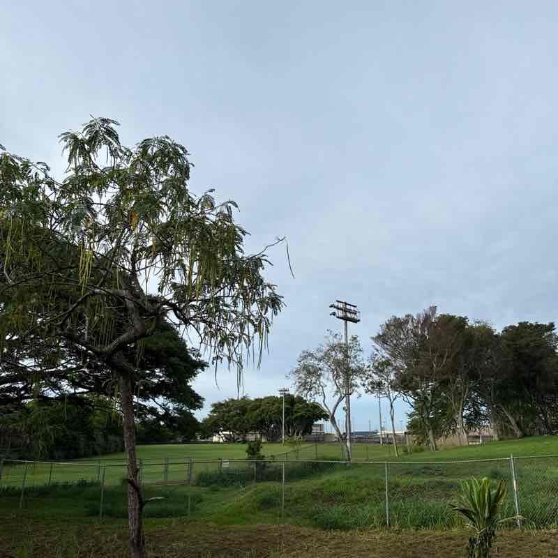 Walter🇵🇭 post 1