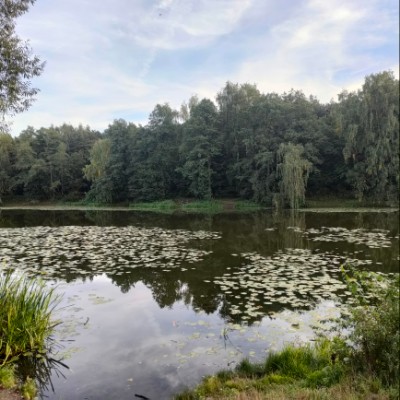 «Мегаполис ИТ» Галина post image