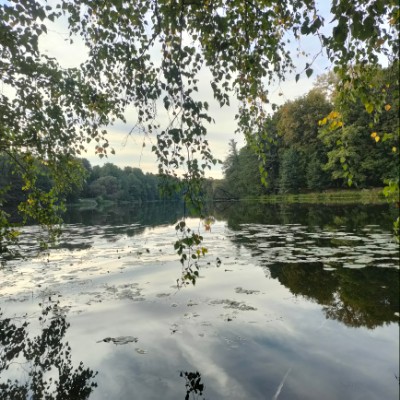 «Мегаполис ИТ» Галина post image