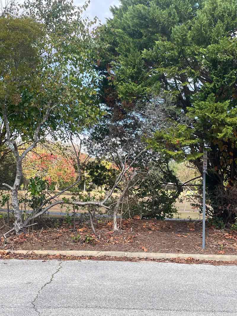 walking near me in Vaughn Road Park in autumn