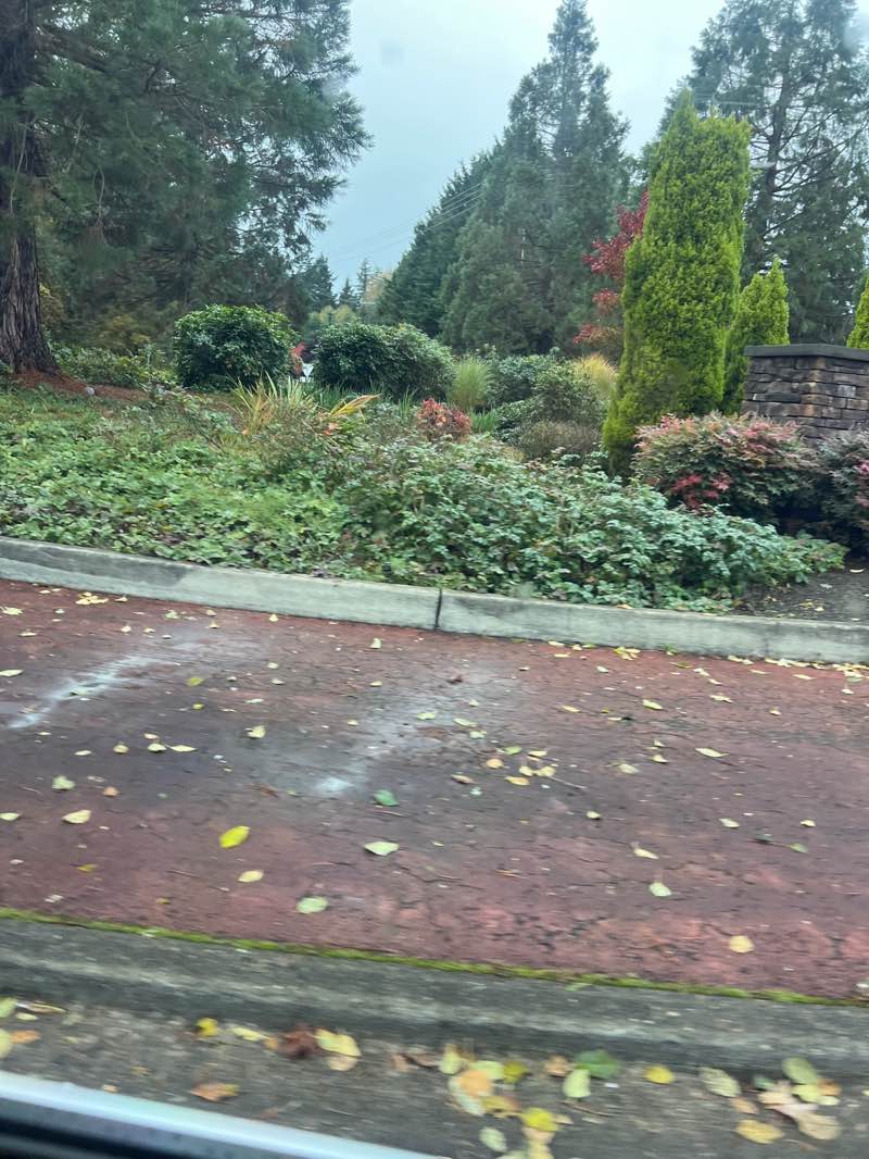 walking near me in CreekSide Park in autumn