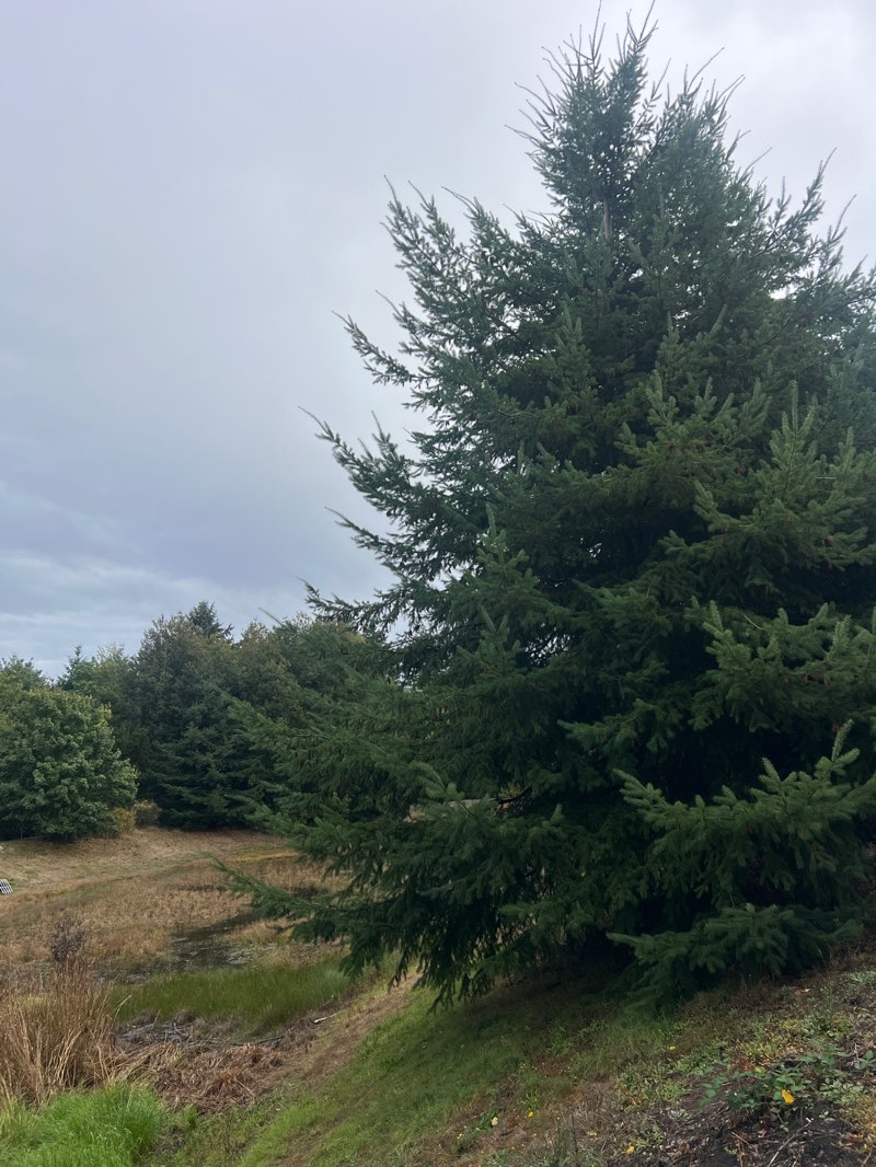 walking near me in Adriana Hess Wetland Park in autumn