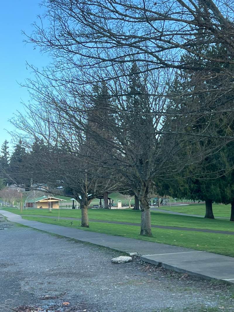 walking near me in Senator Rosa Franklin Park in winter