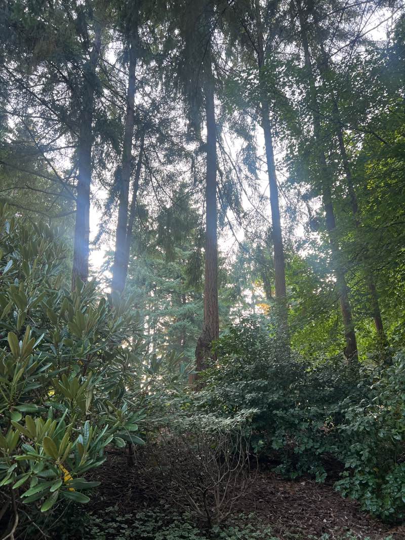 walking near me in Homestead Park (Expirmental Gardens) in autumn