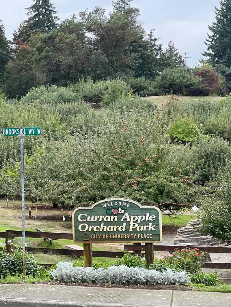 walking near me in Curran Apple Orchard in autumn