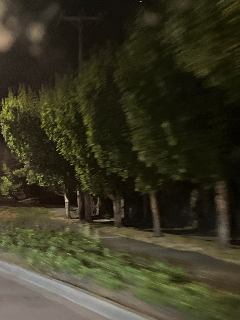 walking near me in Leach Creek Park in autumn