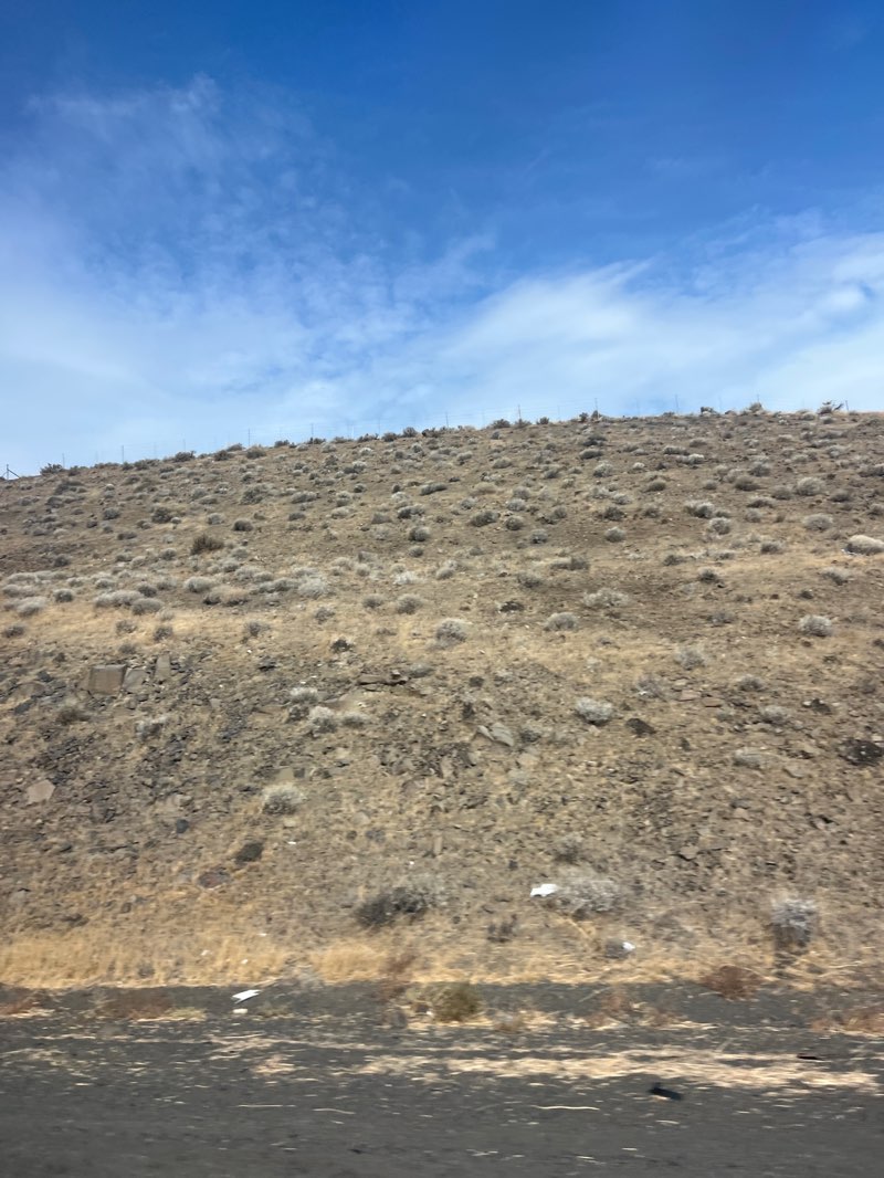 walking near me in Ginkgo Petrified Forest State Park in autumn