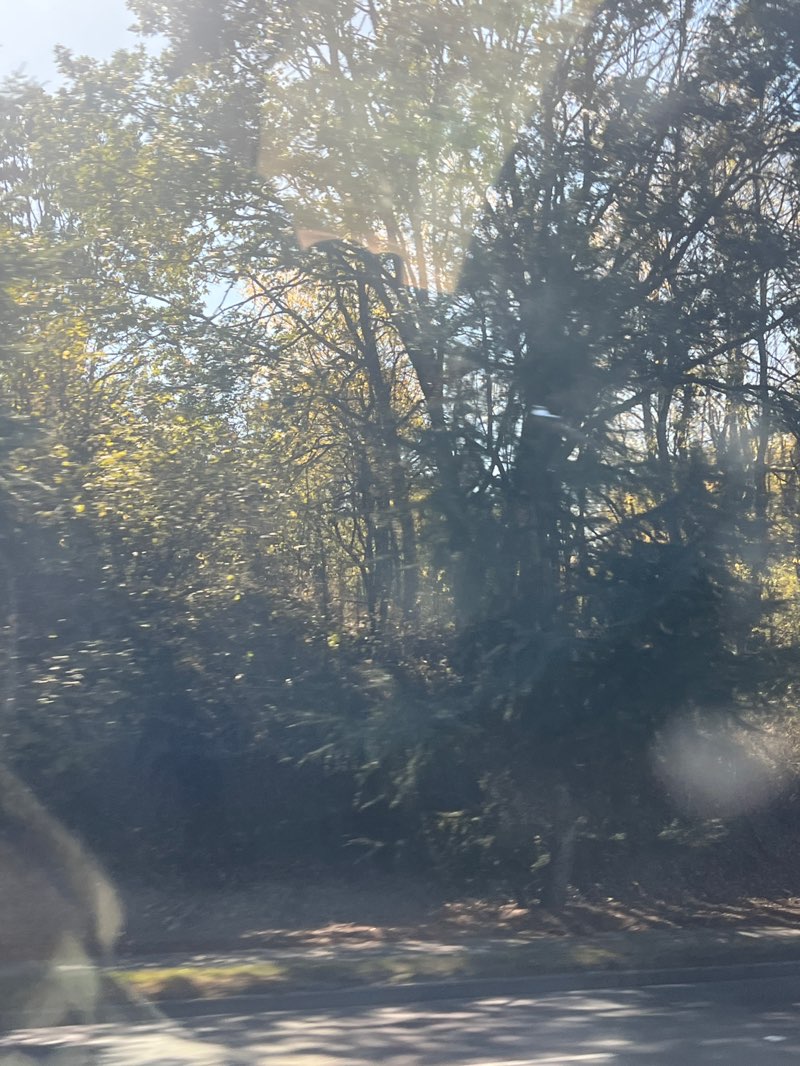 walking near me in Wapato Hills Park in autumn