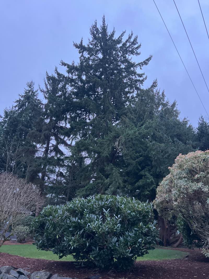 walking near me in Adriana Hess Wetland Park in winter