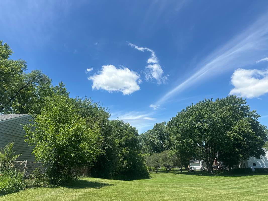walking near me in Linden Park in summer