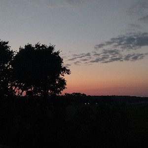Georgia