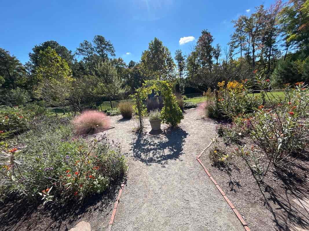 walking near me in Short Pump Park in autumn