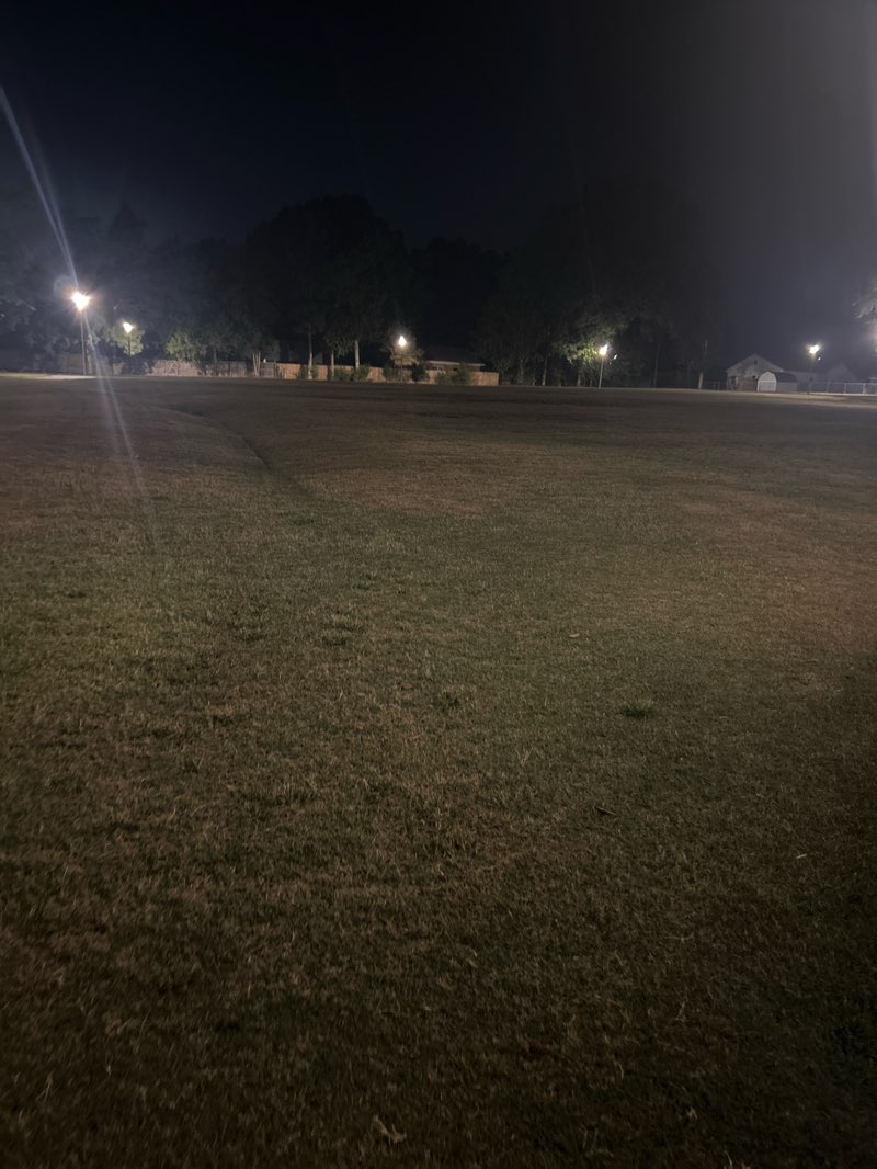 walking near me in Bartlett Municipal Park in autumn