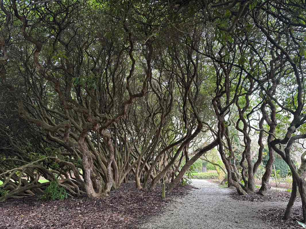 walking near me in Queenspark in spring