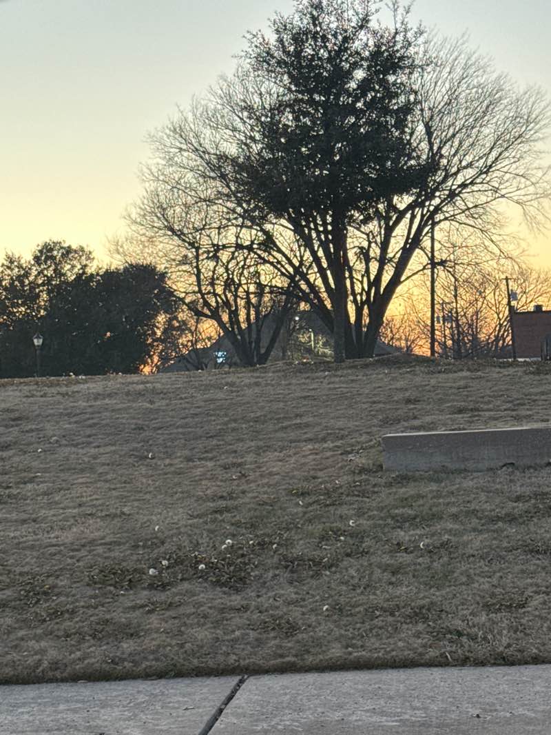 walking near me in Olde City Park in winter