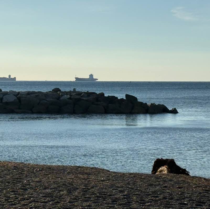 SvalvolatoMek post 1