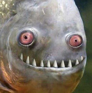 Сергей profile