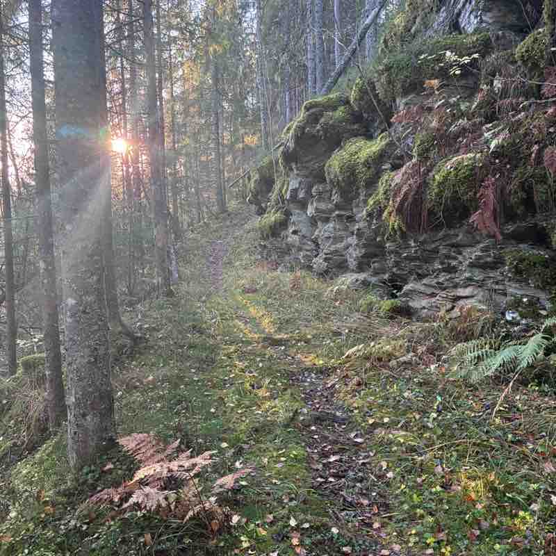 Norway Lise post image