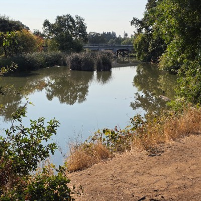 PRO Team Andy N post image