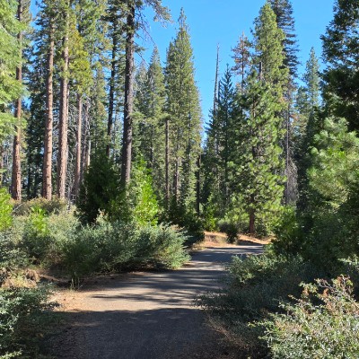 PRO Team Andy N post image