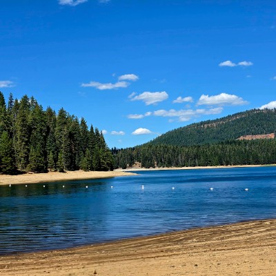 PRO Team Andy N post image