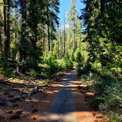 PRO Team Andy N post image